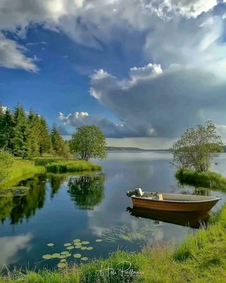 rustig tafereel in natuur Woud reflectie Aan meer rustig Woud meer met weerspiegeld bomen, Doorzichtig lucht, en sereen atmosfeer. foto