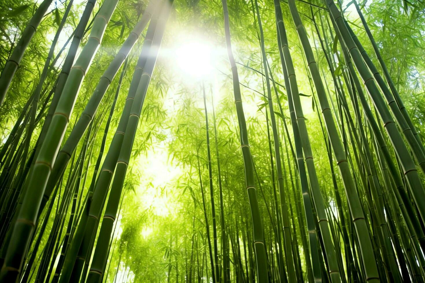 visie van botanisch groen bamboe tropisch Woud in daglicht. oosters bamboe bosje in China Japans concept door ai gegenereerd foto