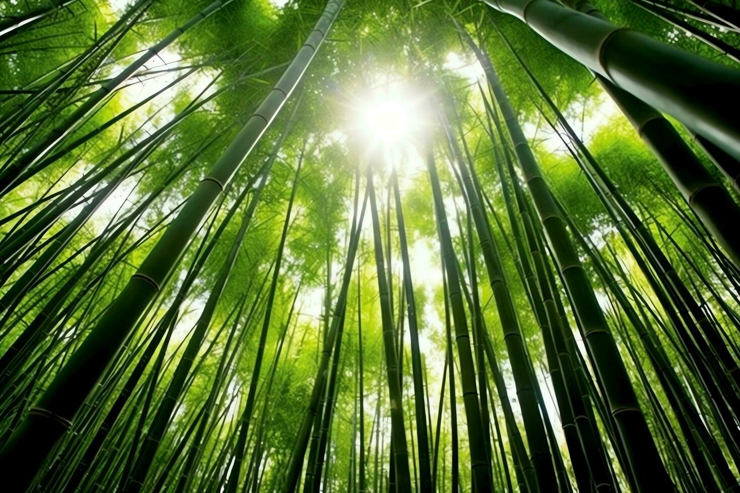 visie van botanisch groen bamboe tropisch Woud in daglicht. oosters bamboe bosje in China Japans concept door ai gegenereerd foto