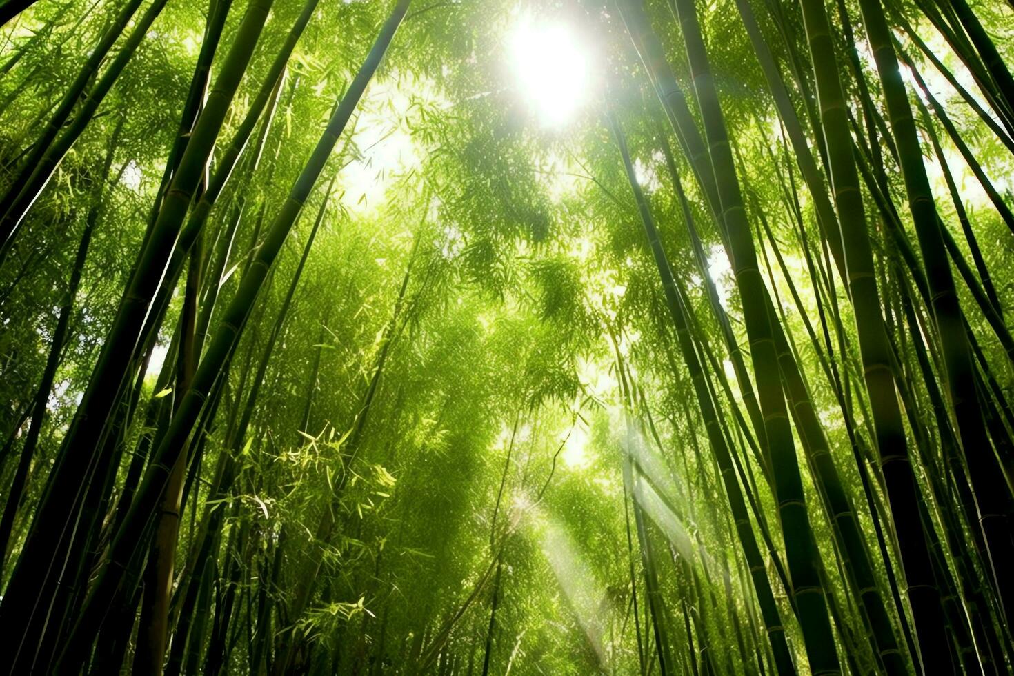 visie van botanisch groen bamboe tropisch Woud in daglicht. oosters bamboe bosje in China Japans concept door ai gegenereerd foto