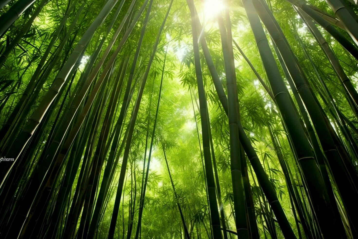 visie van botanisch groen bamboe tropisch Woud in daglicht. oosters bamboe bosje in China Japans concept door ai gegenereerd foto