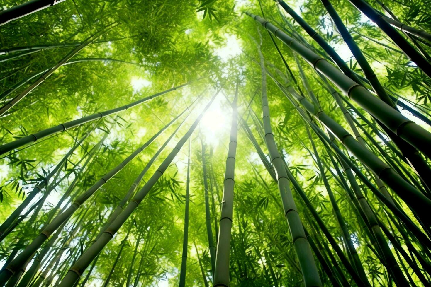 visie van botanisch groen bamboe tropisch Woud in daglicht. oosters bamboe bosje in China Japans concept door ai gegenereerd foto