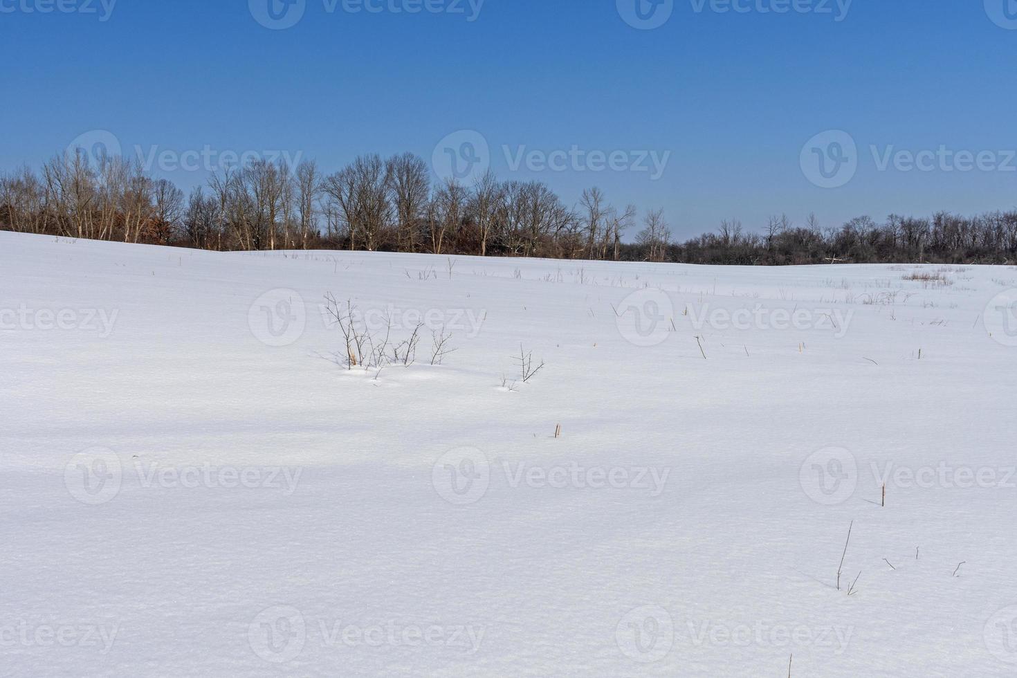 smetteloze sneeuw op een open veld foto