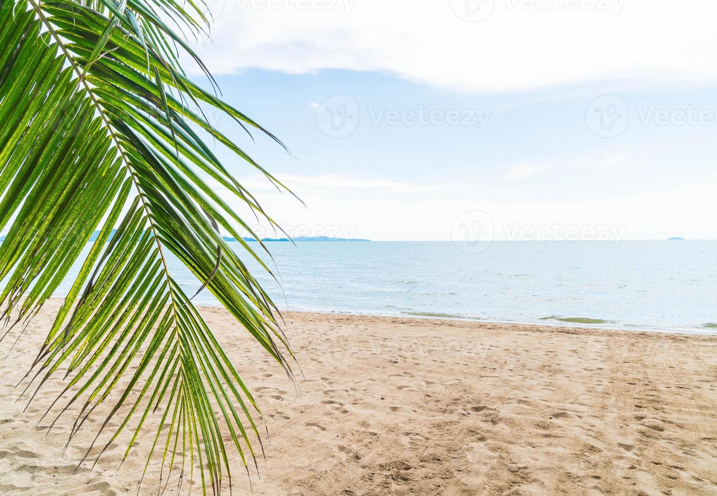 palm en tropisch strand bij pattaya in thailand foto