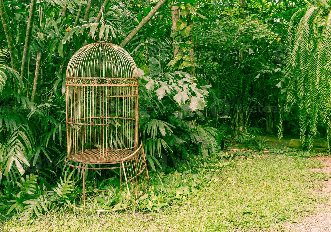 interferentie onderzeeër Op te slaan lege oude vogelkooi in de tuin - vintage effectfilter 3138660 stockfoto bij  Vecteezy