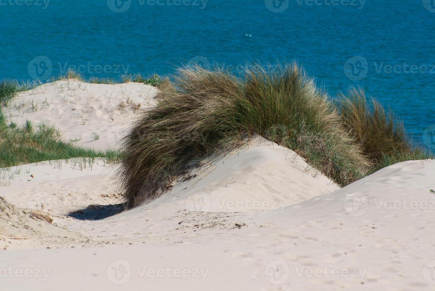 mooi visie Aan strand en oceaan, Spanje, Tarifa foto