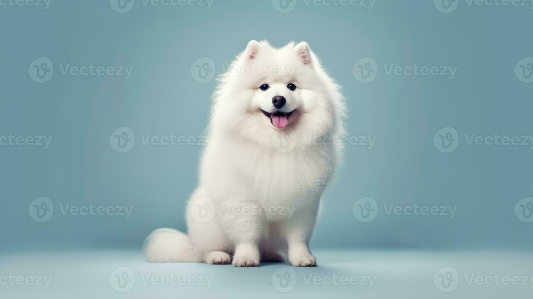 pluizig huisdier uiterlijke verzorging - schattig hond na de salon - generatief ai foto