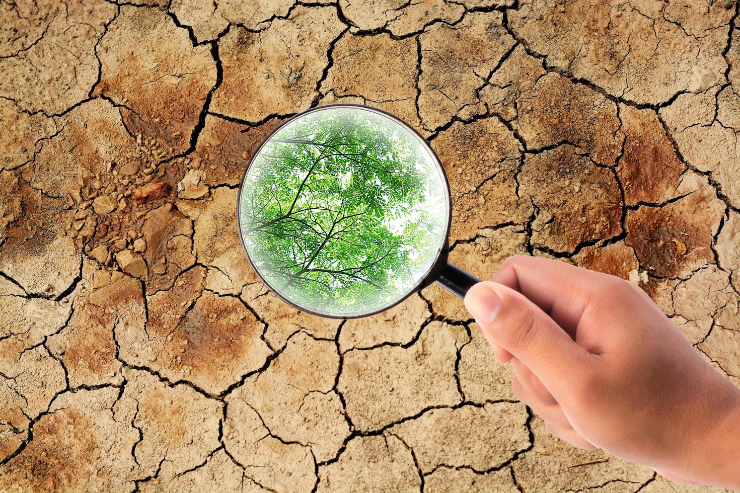 hand met vergrootglas om een blad te vinden op droge, gebarsten aarde foto