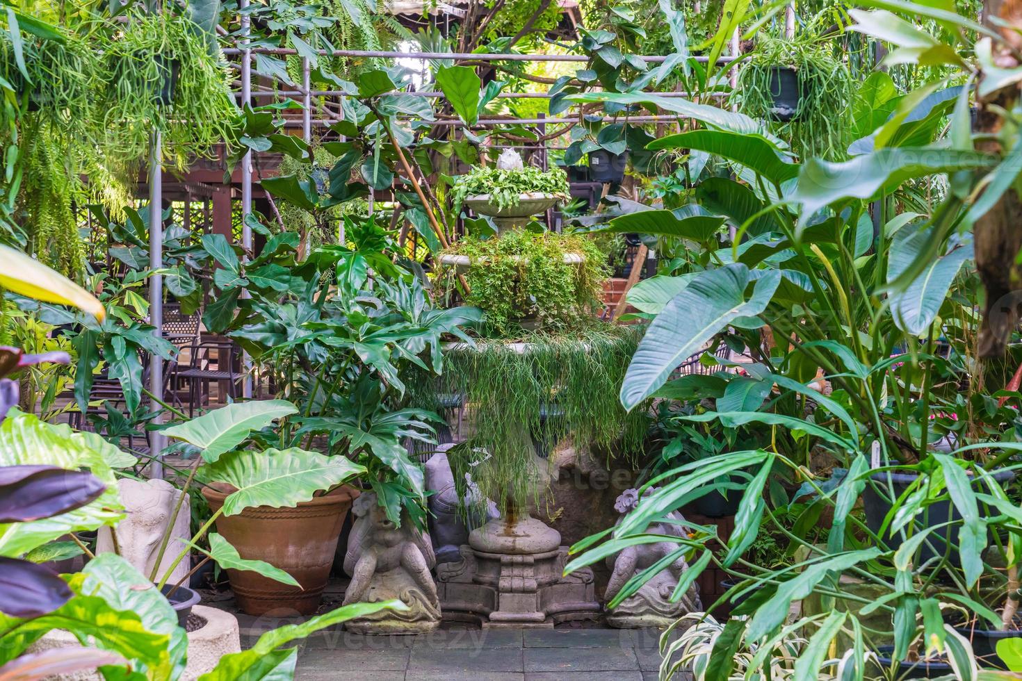 loopbrug met veel planten - boost kleureffectfilter foto