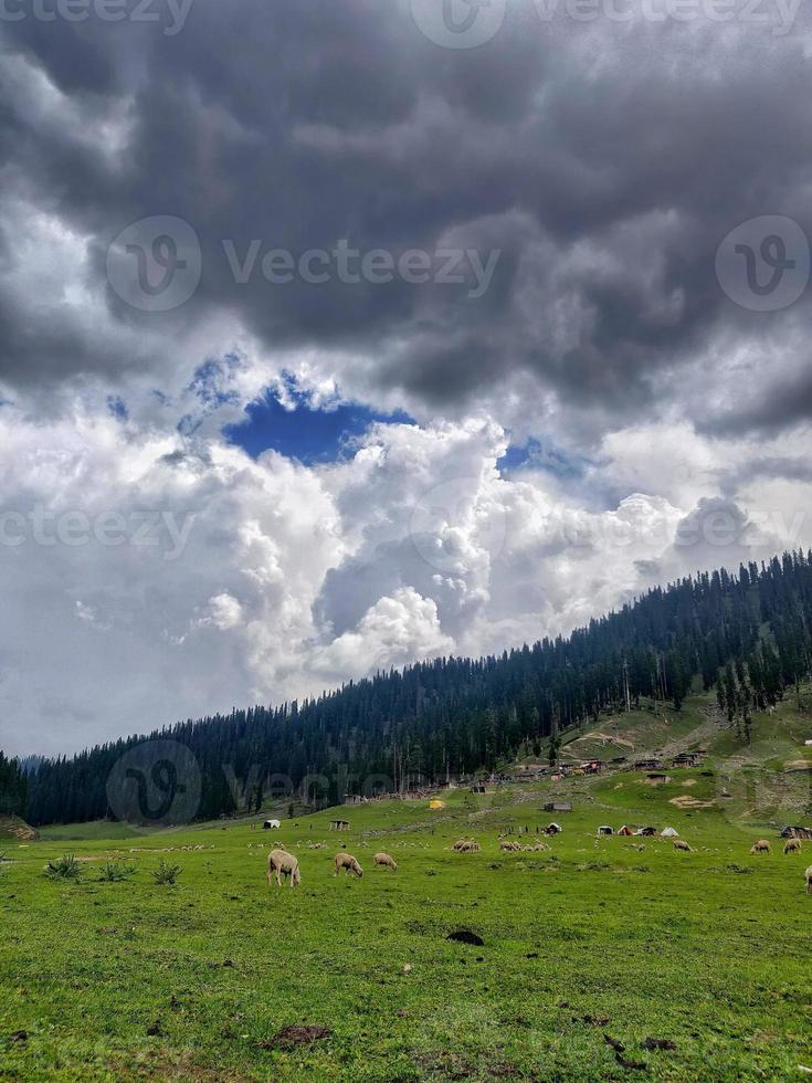 bangusvallei in kupwara kasjmir foto