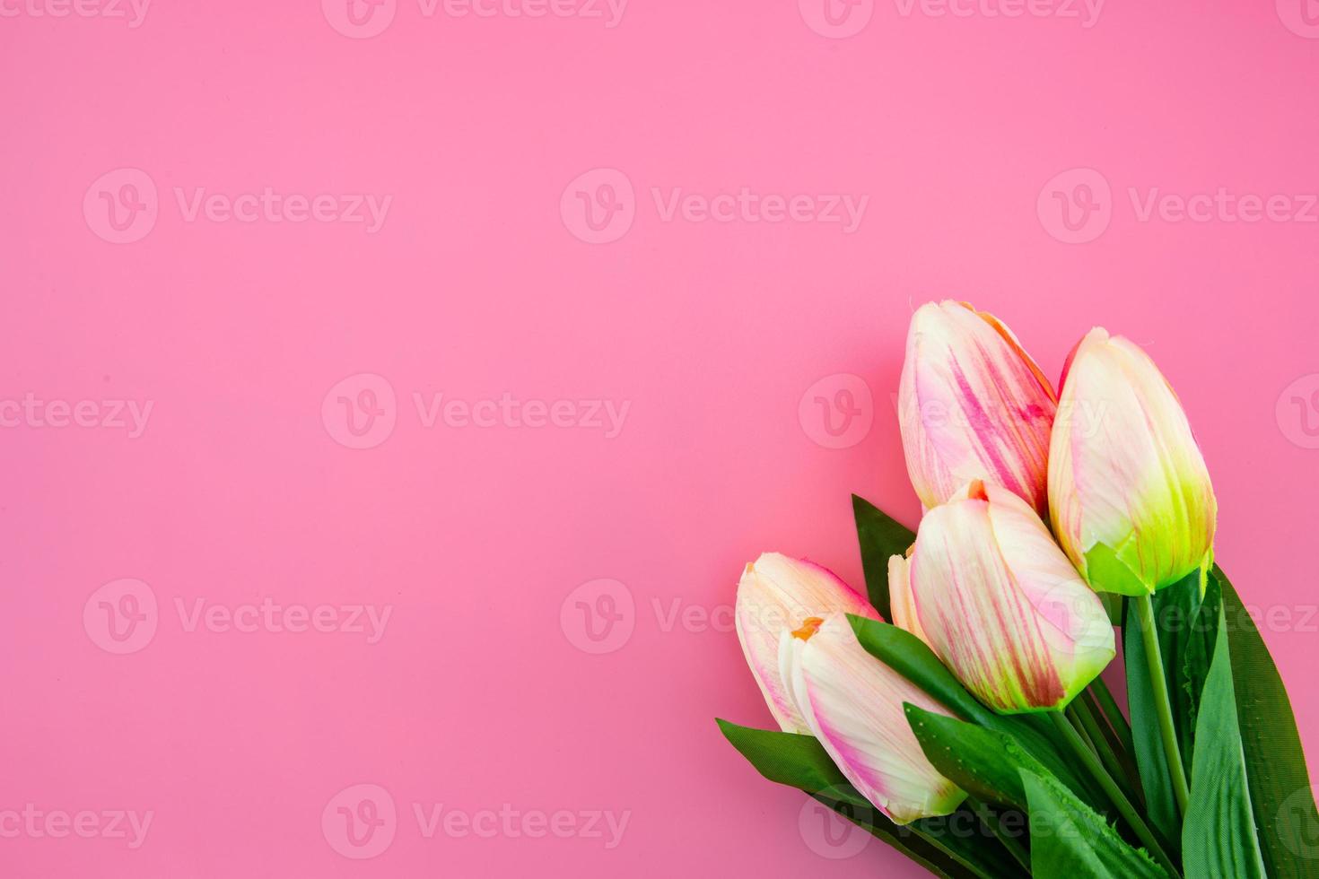 gele tulpenbloem met plat op de roze achtergrond foto