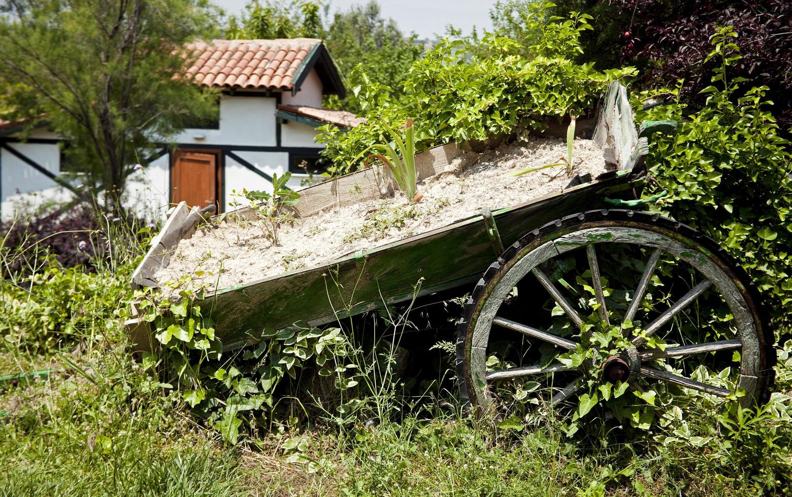 oude houten paardenwagen wagenwielen foto