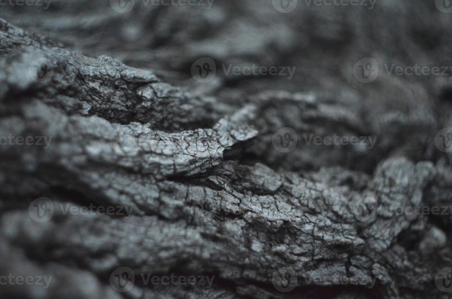 hout textuur. macro foto