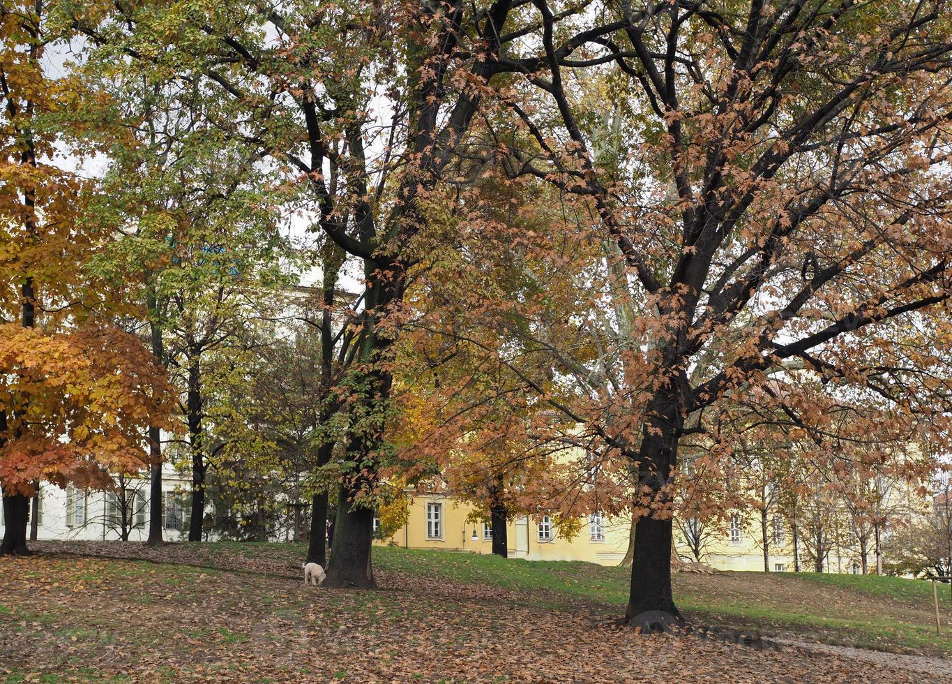 Giardini Cavour in Turijn foto