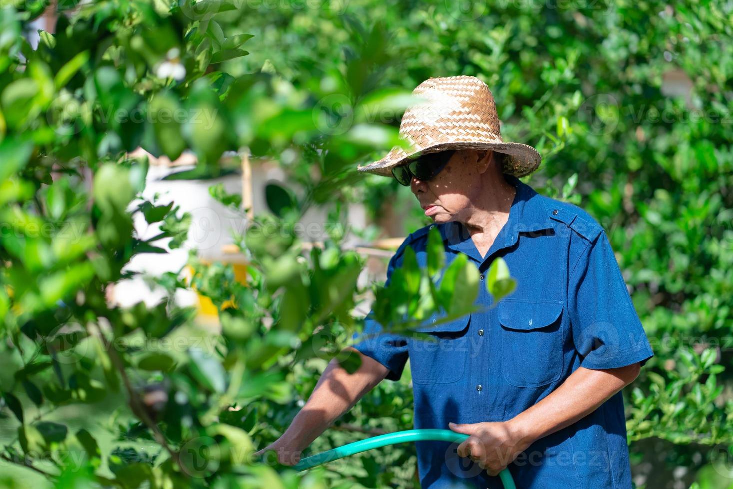 portret van senior tuinman die veel water geeft in de tuin foto