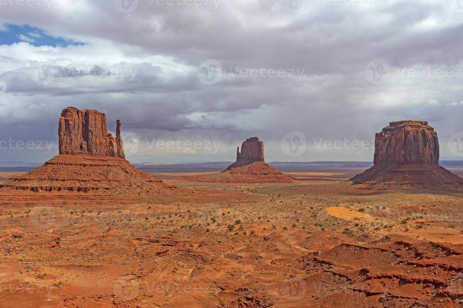 eenzame schildwachten in de woestijn foto