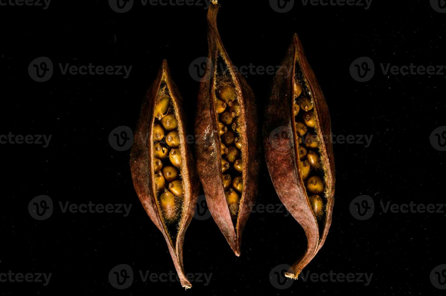 detailopname van fruit zaden foto
