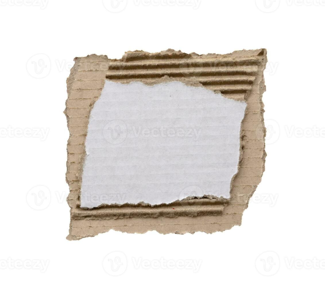stuk van wit papier scheur geïsoleerd Aan wit achtergrond foto