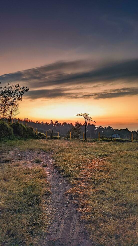 mooi zonsopkomst over- de heuvel foto