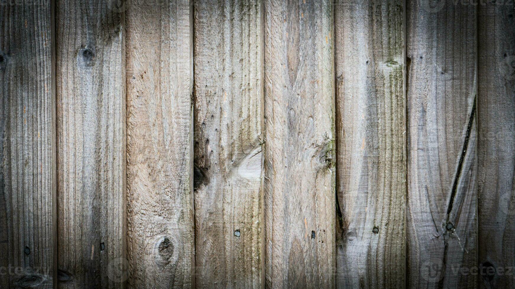 natuurlijk hout graan structuur achtergrond foto