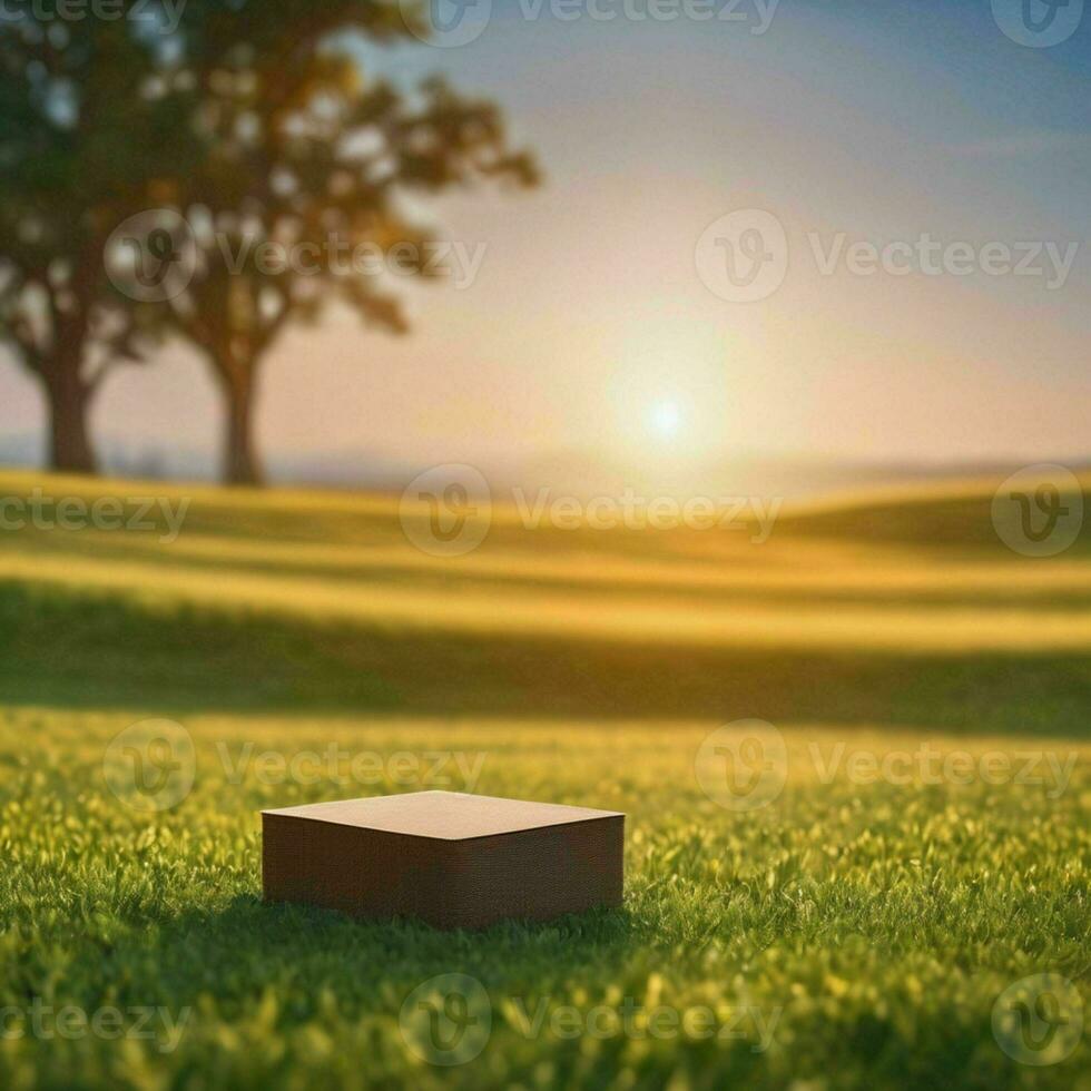 sfeervol achtergrond met zonlicht foto