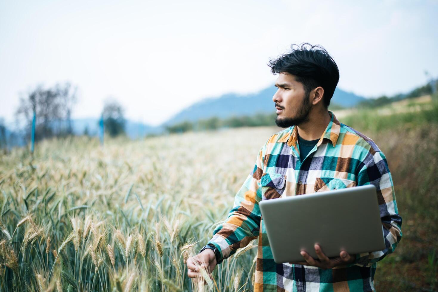 slimme boer die gerstboerderij controleert met laptopcomputer foto