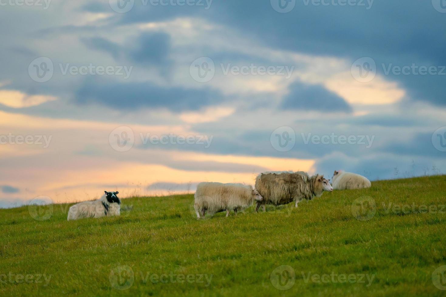 IJsland prachtig landschap, IJslands natuurlandschap foto