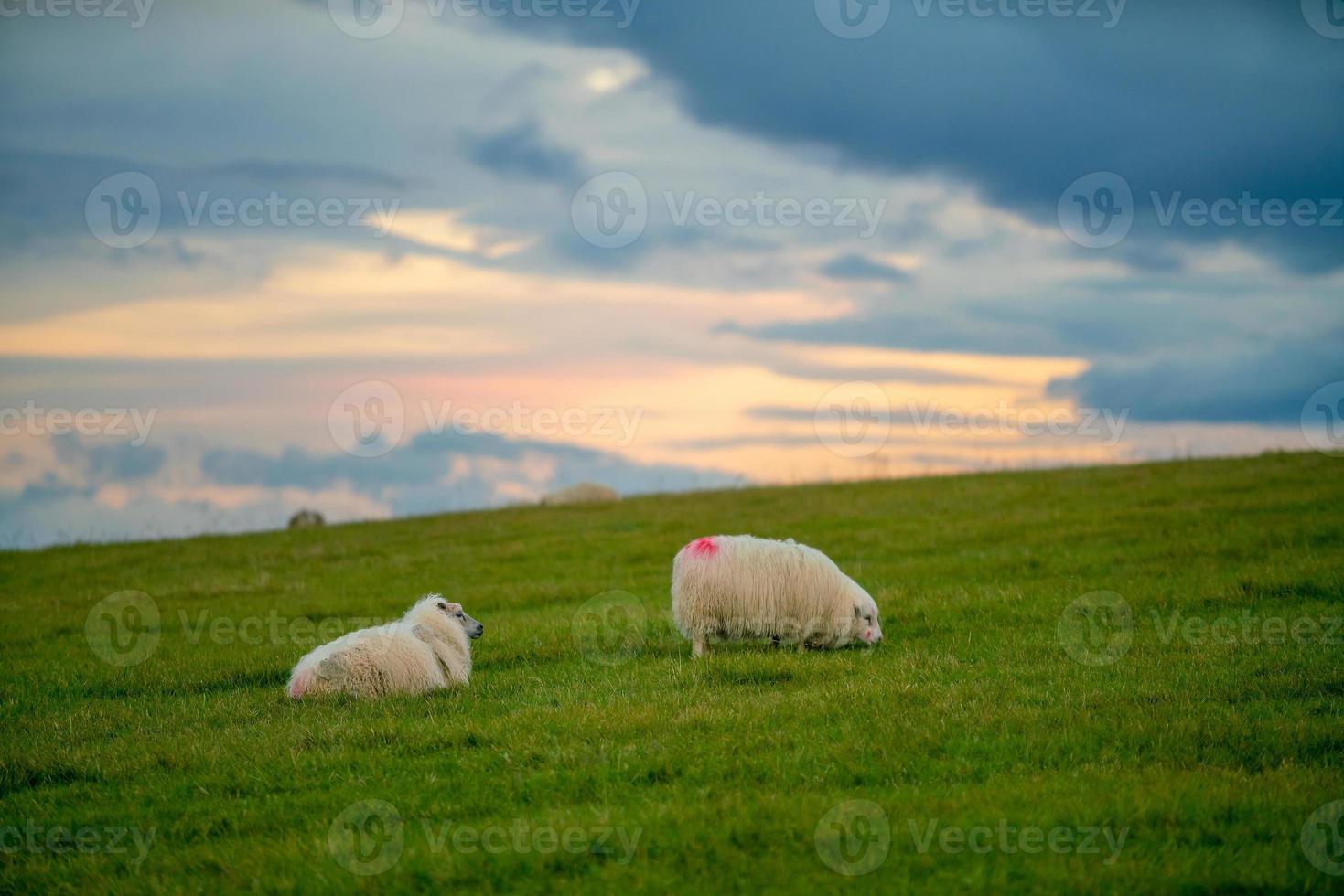 IJsland prachtig landschap, IJslands natuurlandschap foto