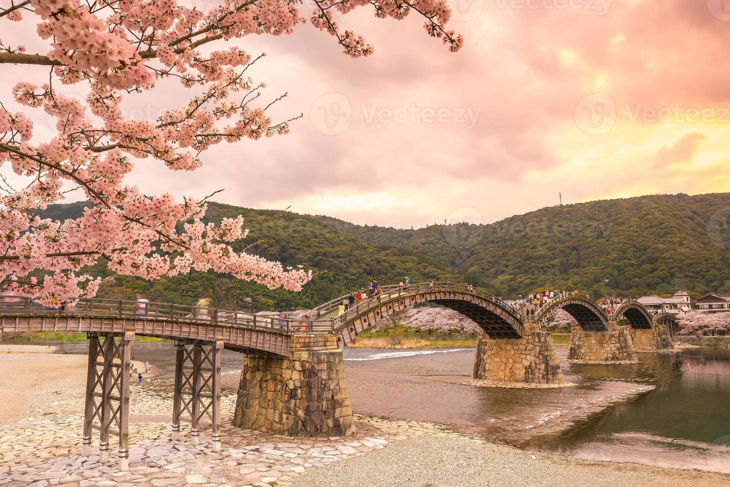 kersenbloesem in volle bloei bij kintaikyo bridge foto