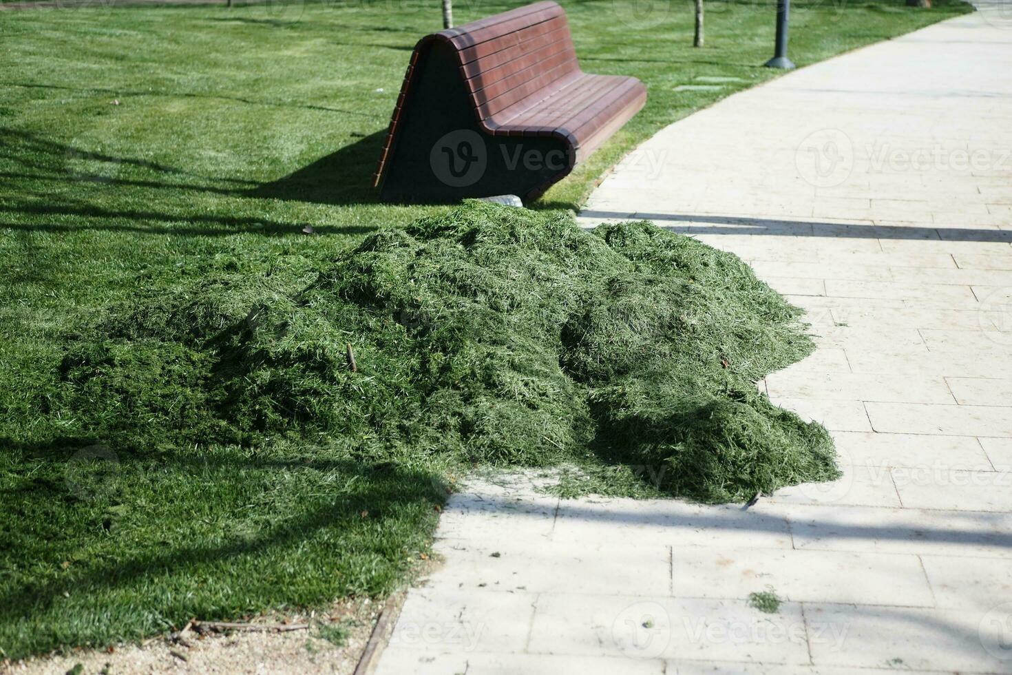 Mens trimmen gras in een tuin gebruik makend van een grasmaaier, foto