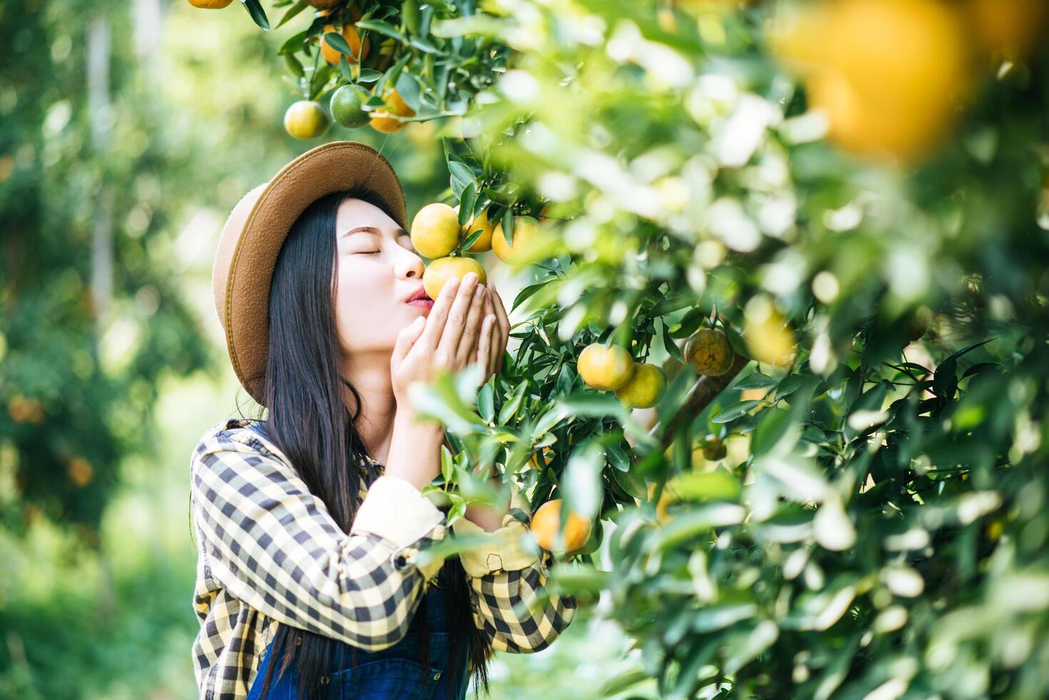 vrouw die een sinaasappelplantage oogst foto