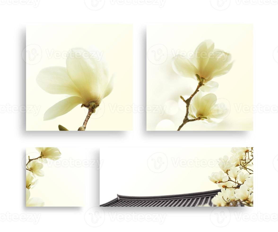 mooie lentebloem frame, uitnodiging, trouwkaart foto