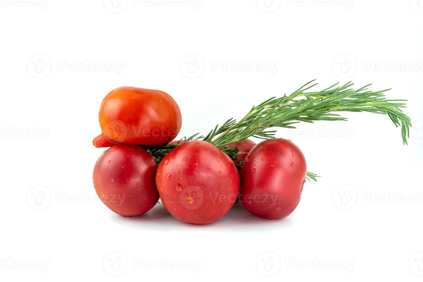 grappige vogel figuur van rode tomaten en rozemarijn tak geïsoleerd foto