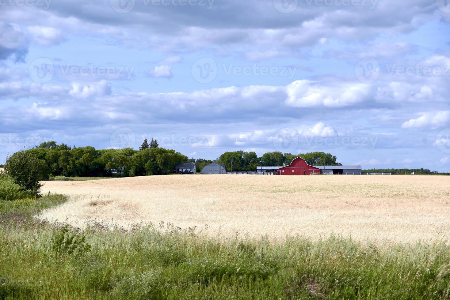 een prairieboerderij foto