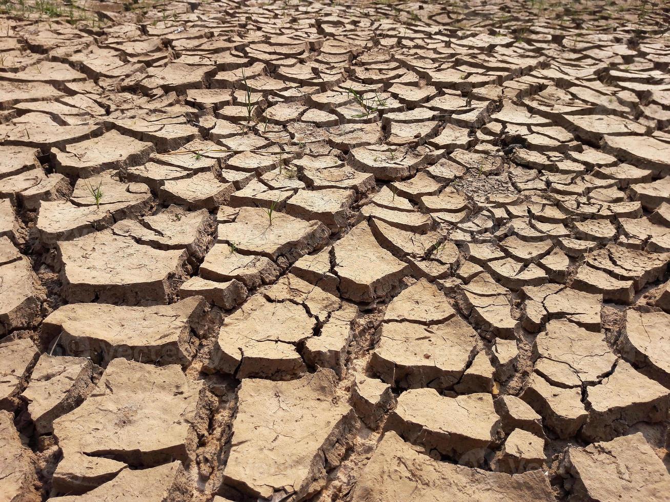 gebarsten aarde getextureerd foto