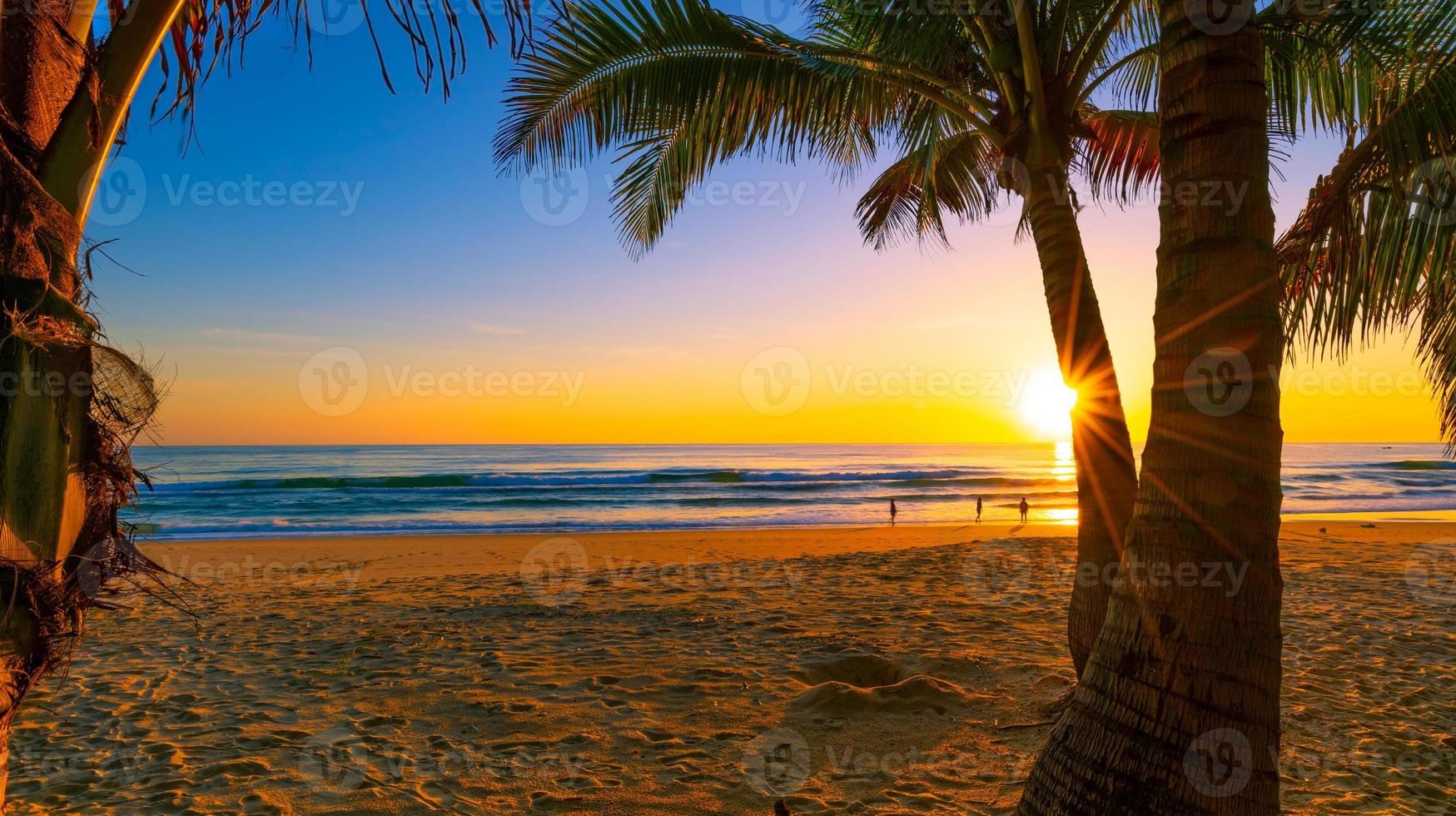 silhouet kokospalmen op het strand bij zonsondergang foto