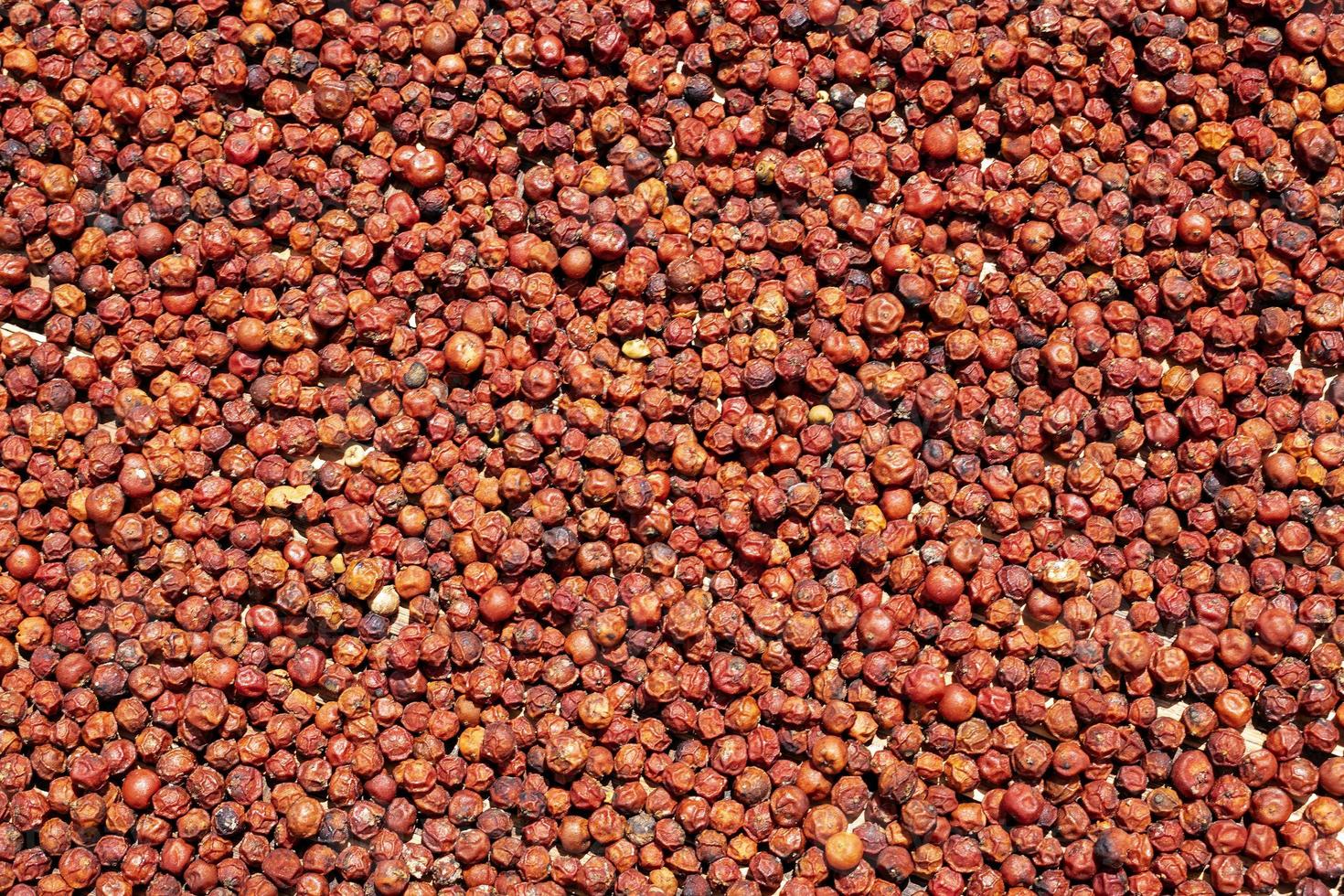 veel Aziatische rode peperkorrels drogen in de zon achtergrondafbeelding foto