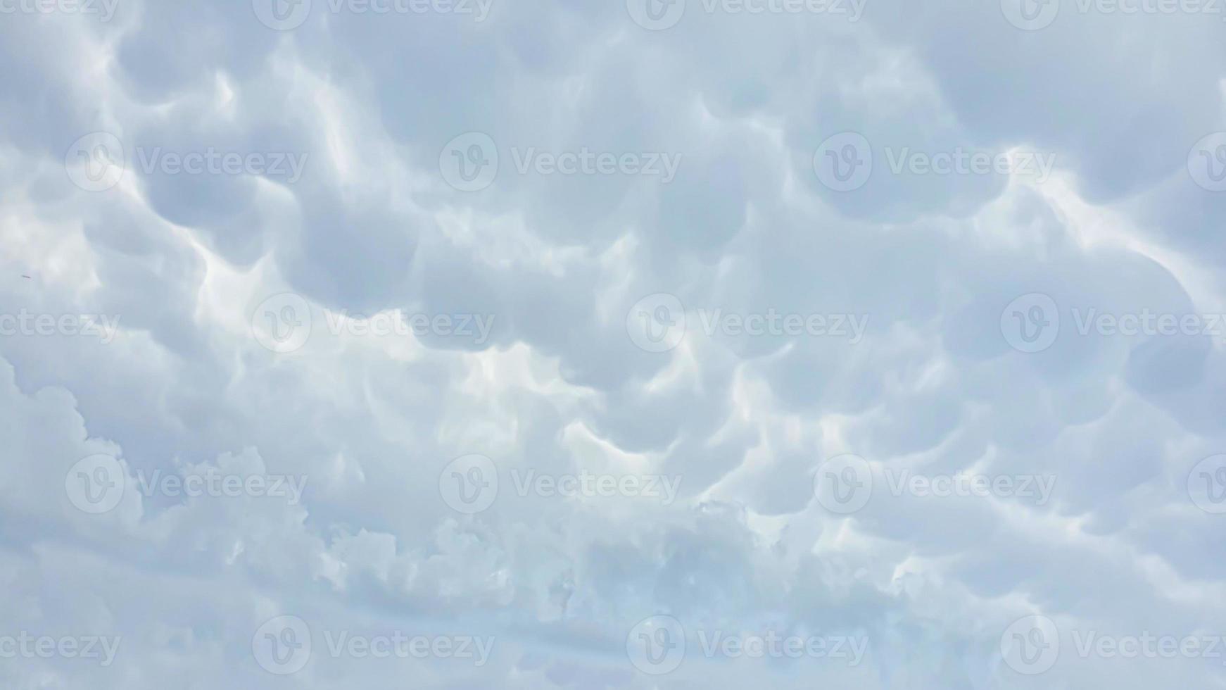 blauwe lucht met wolken, vliegende vogels en groene takken. foto