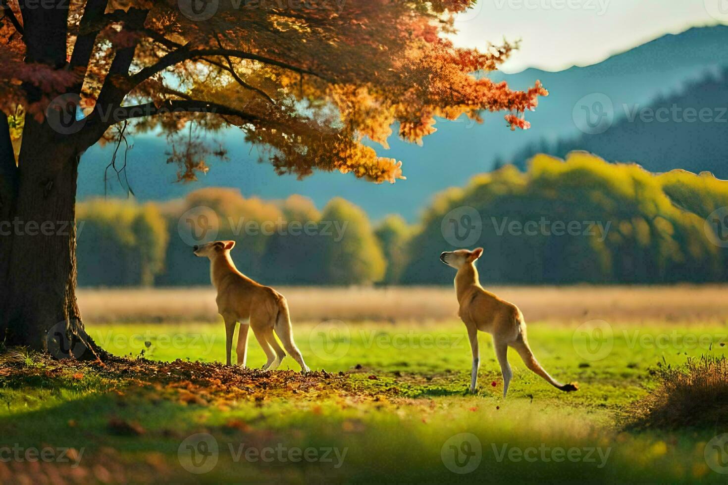twee kangoeroes in de herfst. ai-gegenereerd foto