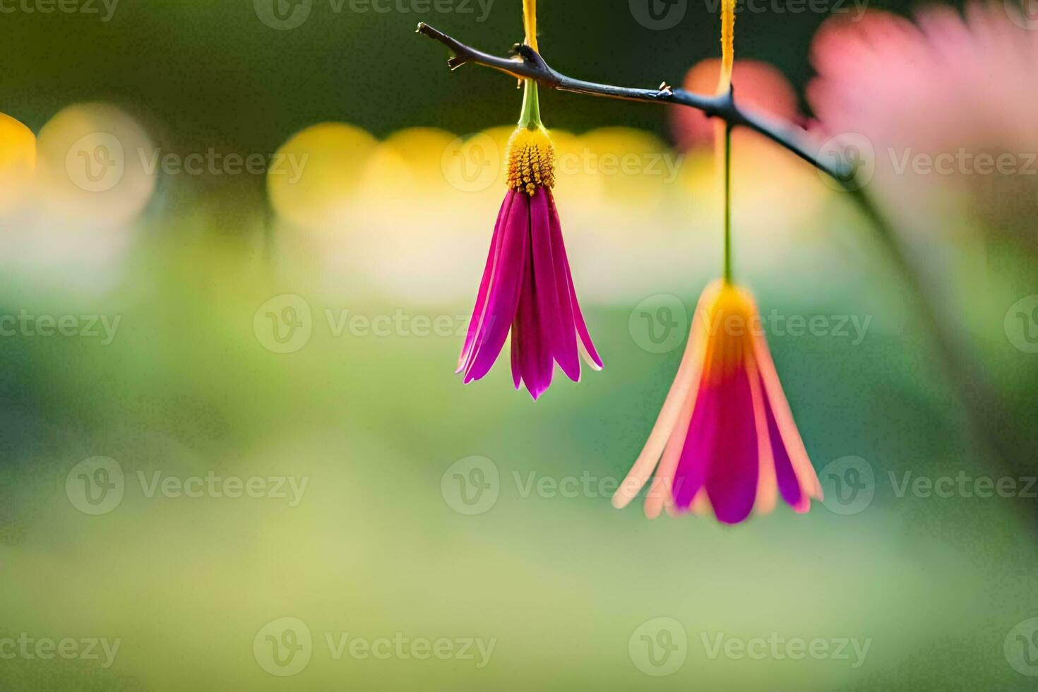 twee roze bloemen hangende van een Afdeling. ai-gegenereerd foto