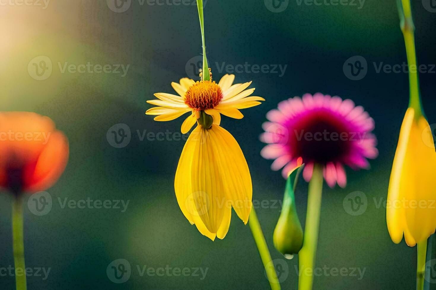 geel bloemen in de zon. ai-gegenereerd foto