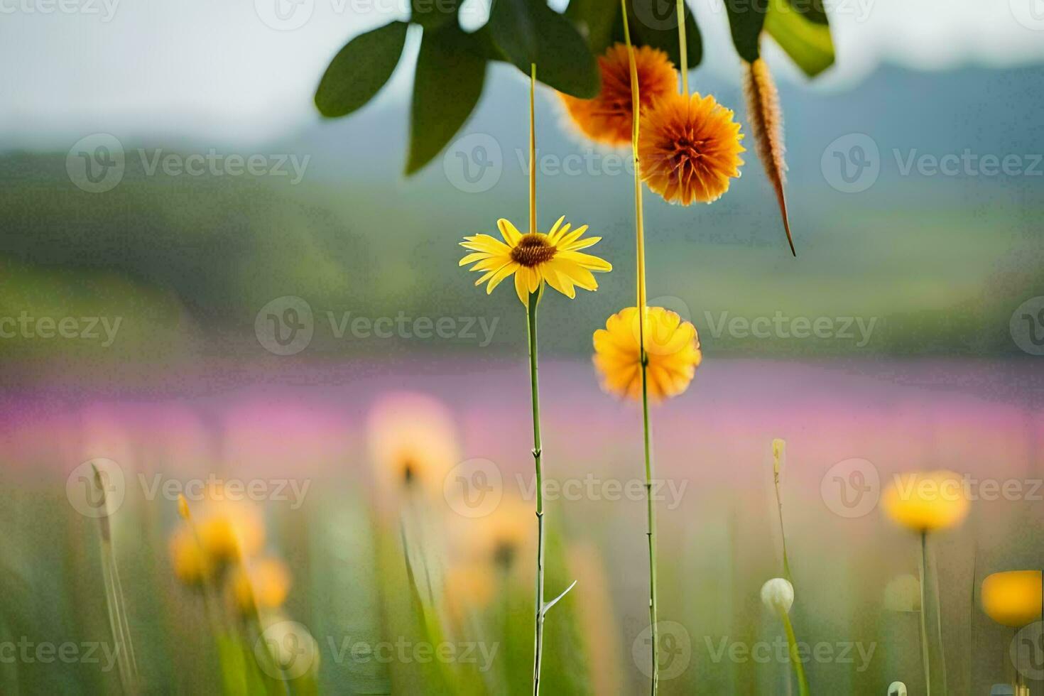 geel bloemen in een veld- met Purper en geel bloemen. ai-gegenereerd foto