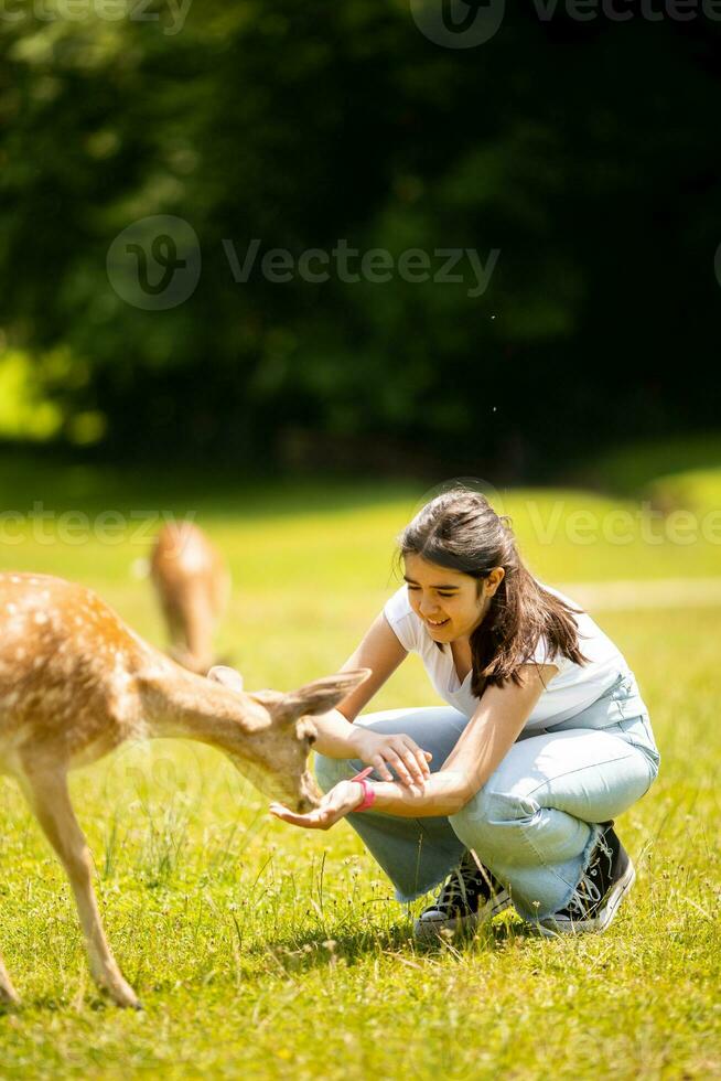 weinig meisje tussen rendier kudde Aan de zonnig dag foto