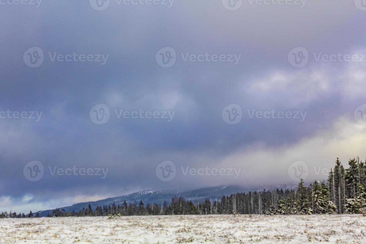 donkere wolken boven dennenbomen landschap brocken berg harz duitsland foto