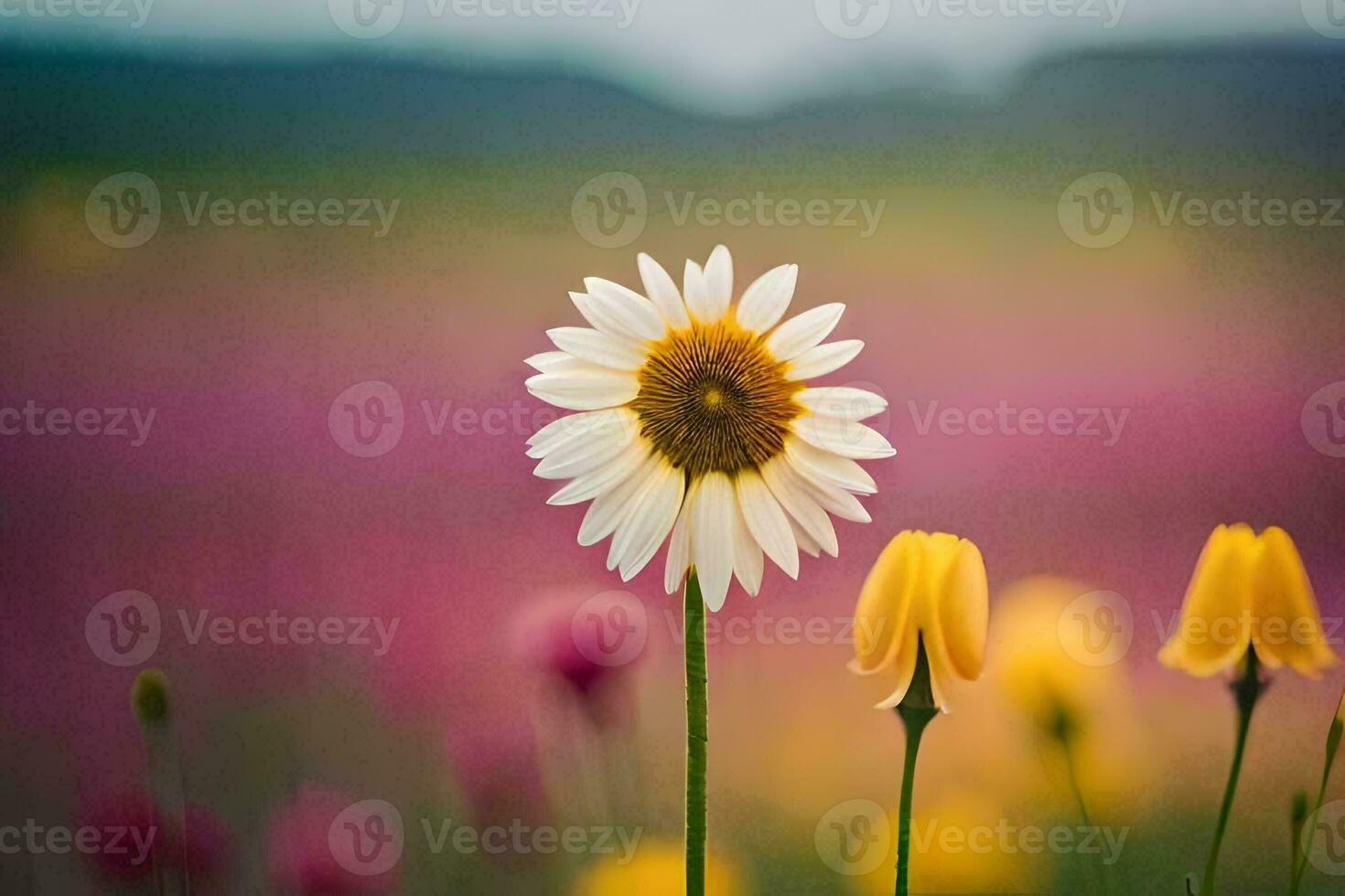 een single geel en wit bloem staat uit in een veld. ai-gegenereerd foto