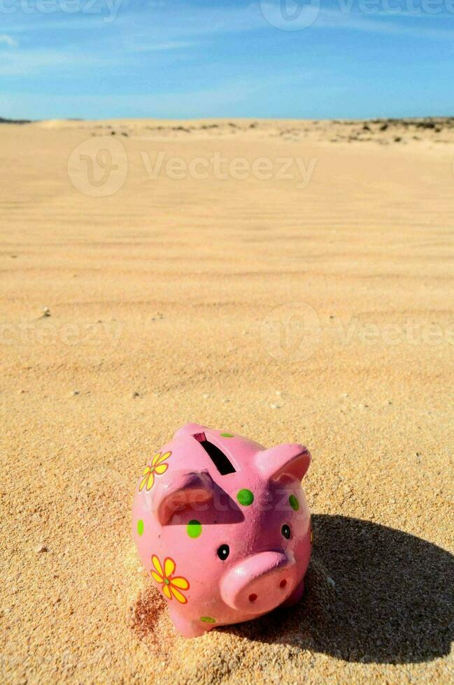 roze varkentje bank in de woestijn foto
