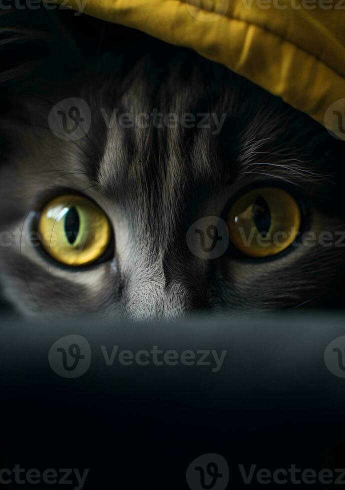 detailopname van een kat met geel ogen ai generatief foto