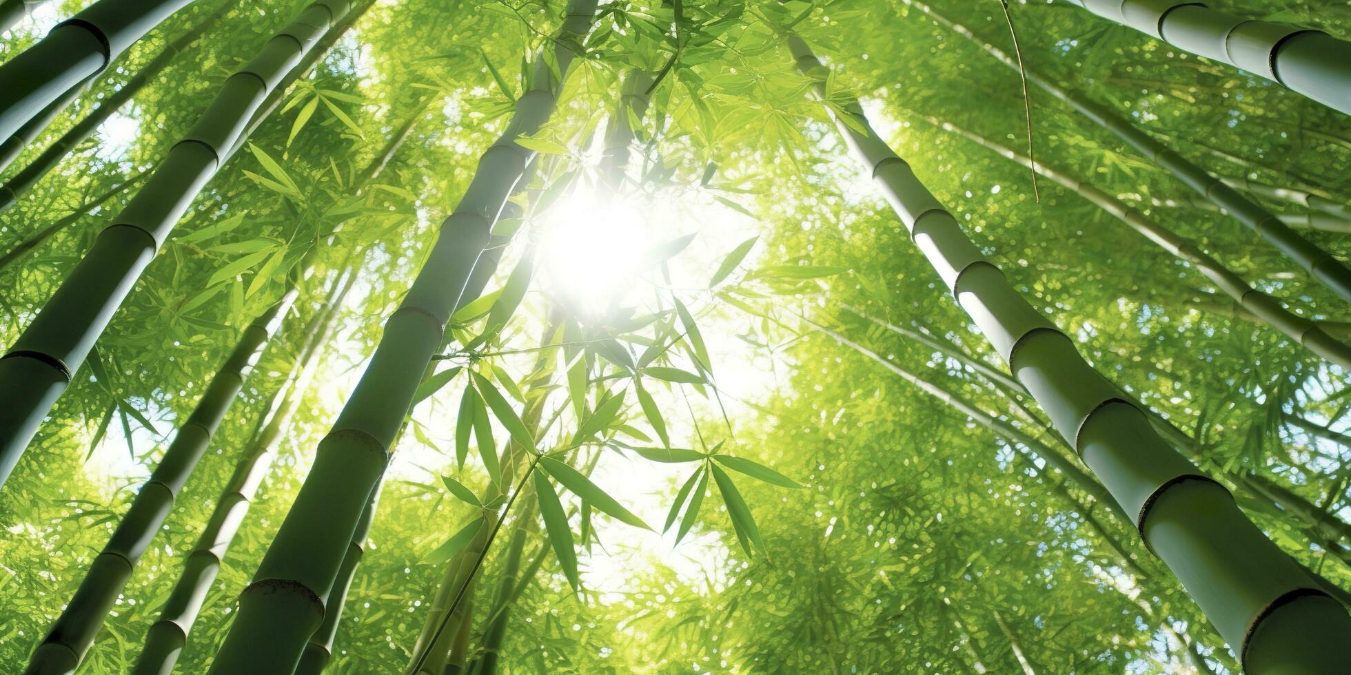 de groen bamboe Woud. een natuurlijk vraag me af. ai generatief foto