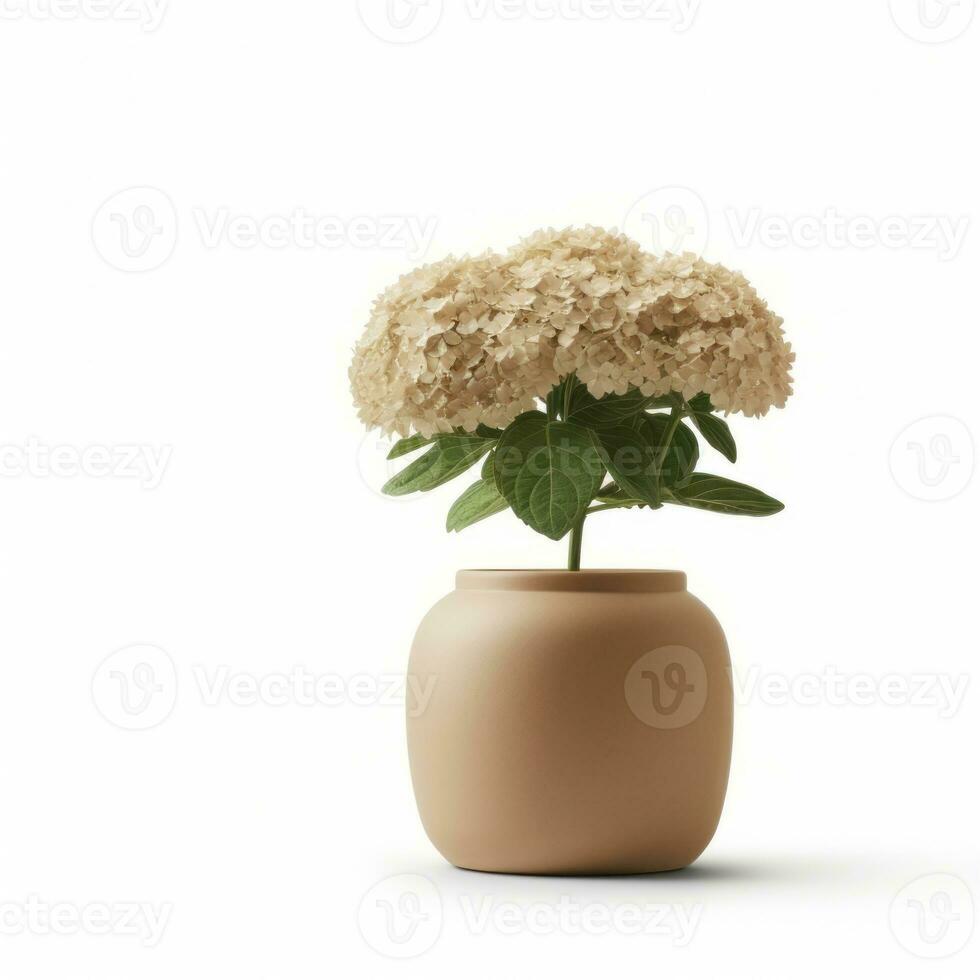 bloemen in pot Aan wit achtergrond ai generatief foto