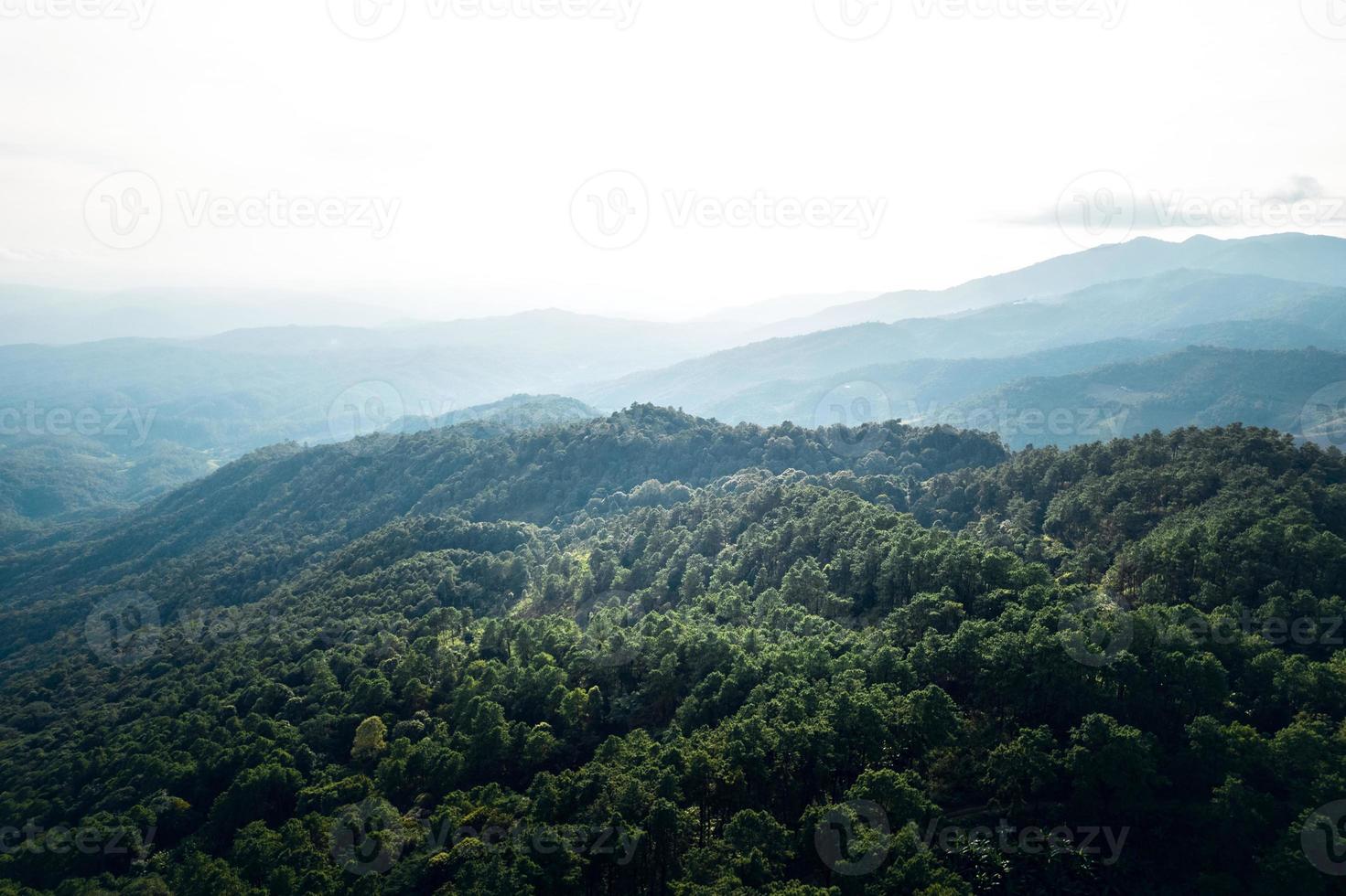 bergen en zomerse groene bossen foto